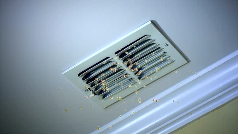 Best Air Duct Cleaning Near Me  in Double Springs, AL