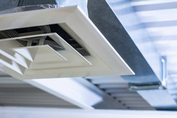 Air Duct Mold Removal in Double Springs, AL